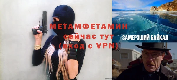 ПСИЛОЦИБИНОВЫЕ ГРИБЫ Новосибирск