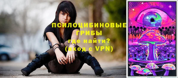 ПСИЛОЦИБИНОВЫЕ ГРИБЫ Новосибирск
